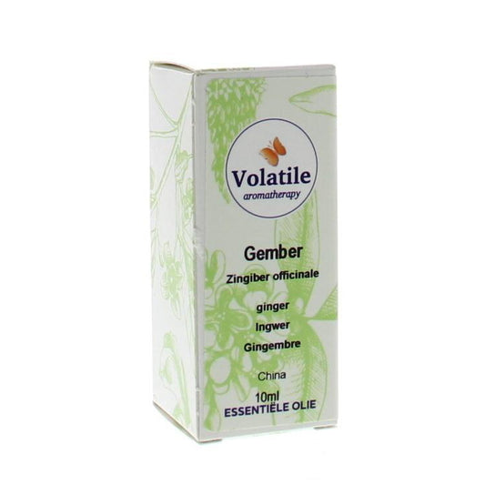 Volatile Gember 10ml