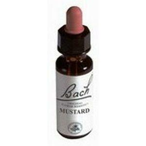 Alive BA21 Mustard 50ml