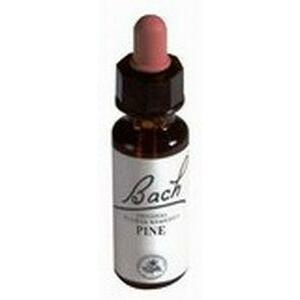 Alive BA24 Pine 50ml