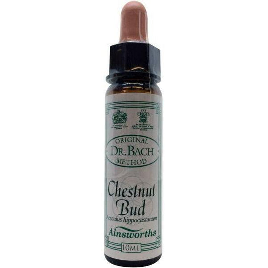 Ainsworths Chestnut bud Bach 10ml