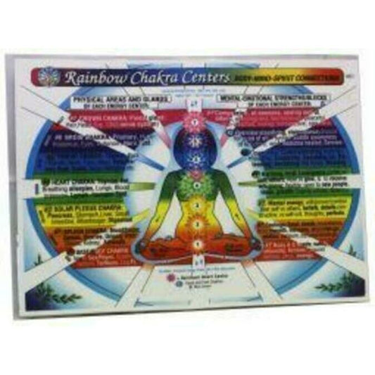 Alive Rainbow chakra kaart 1st
