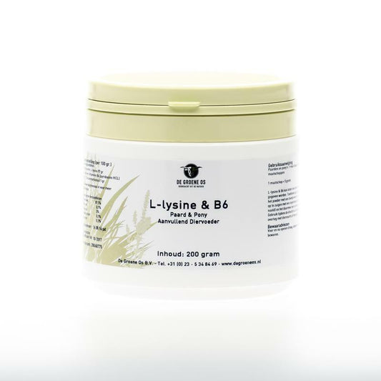 Groene Os L-Lysine en Vitamine B6 paard/pony 200g