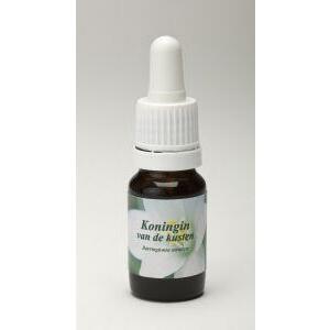 Star Remedies Koningin van de kusten 10ml