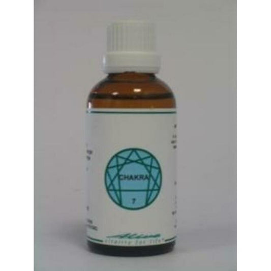 Alive CH07 Chakra 7 50ml