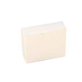 Blockland Ampullen vouwdoos 74 x 24 x 60 12 x 2 ml 500st
