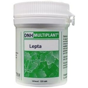DNH Lepta multiplant 140tb