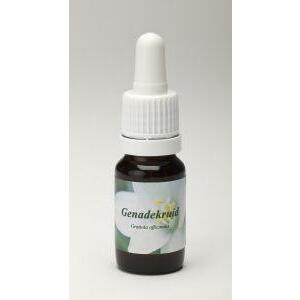 Star Remedies Genadekruid 10ml