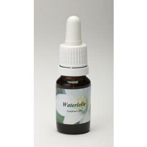 Star Remedies Waterlelie 10ml