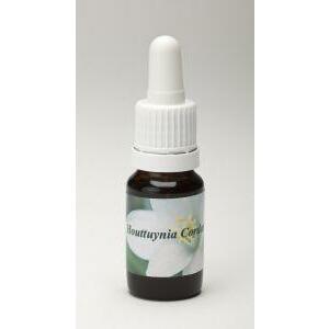 Star Remedies Houttuynia cordata 10ml