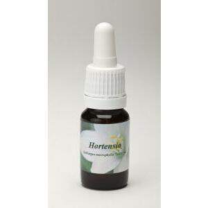 Star Remedies Hortensia 10ml