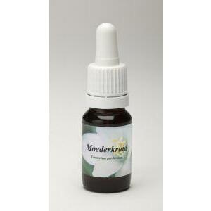 Star Remedies Moederkruid 10ml