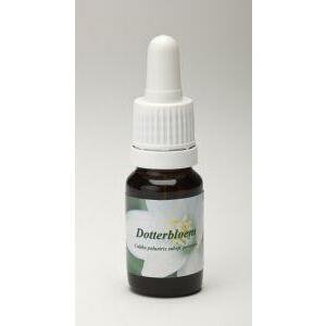 Star Remedies Dotterbloem 10ml