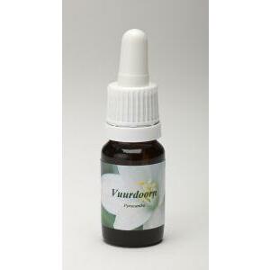 Star Remedies Vuurdoorn 10ml