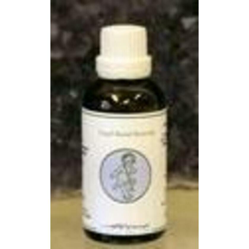 Alive ENG02 Engel gabriel nieuw leven 50ml