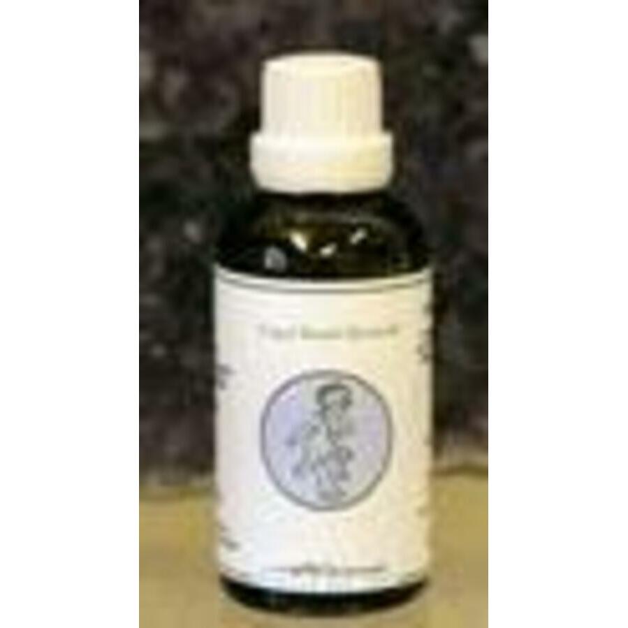 Alive ENG11 Engel paschar openen hoger bewustzijn 50ml