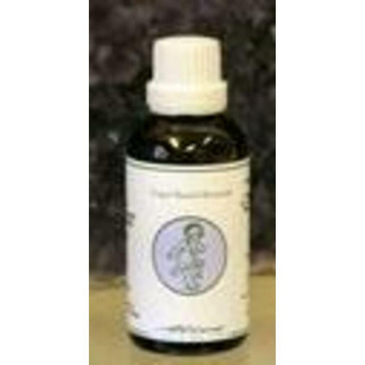 Alive ENG12 Engel zadkiel bidden intentie 50ml