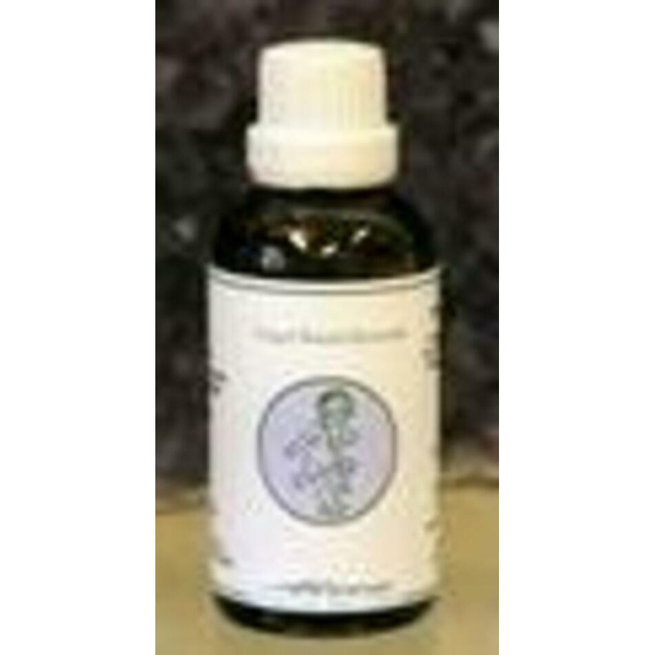 Alive ENG13 Engel micah spirituele evolutie 50ml