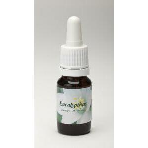 Star Remedies Eucalyptus 10ml