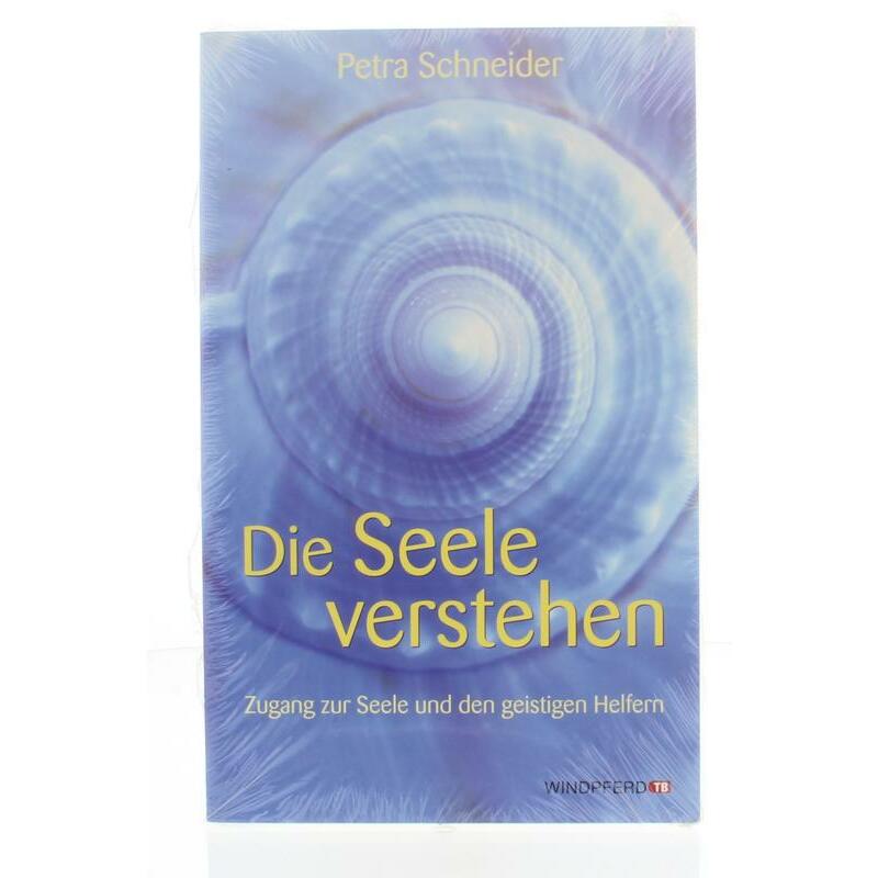 Lichtwesen Die seele verstehen boek