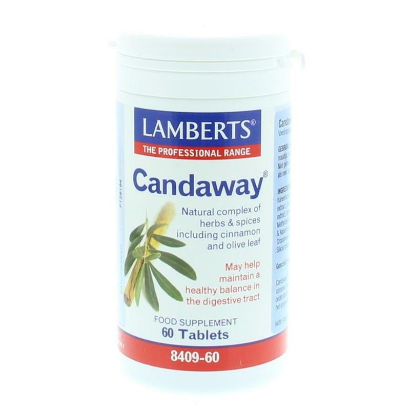 Lamberts Candaway 60tb