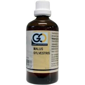 GO Malus sylvestrus bio 100ml