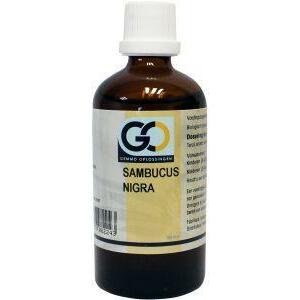 GO Sambucus nigra bio 100ml