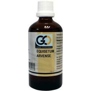 GO Equisetum arvense bio 100ml