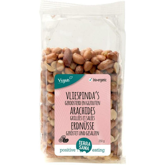 Terrasana Pinda vlies met zout geroosterd bio 250g
