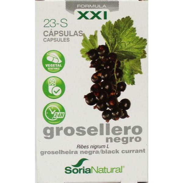 Soria Ribes nigrum 23-S XXI 30ca