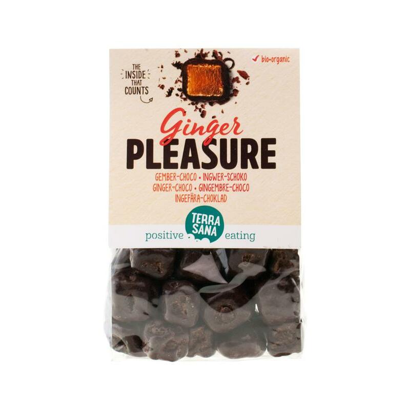 Terrasana Ginger pleasure choco bio 150g