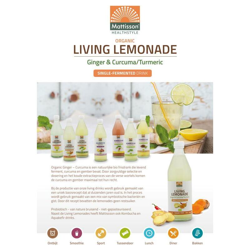 Mattisson Folder drinks living lemonade A5 1st