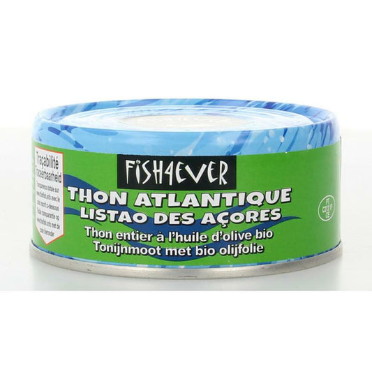 Fish 4 Ever Tonijnmoot in olijfolie 160g