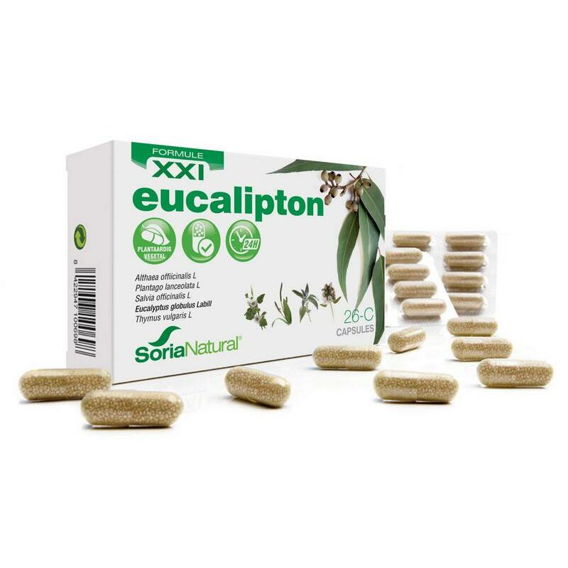 Soria 26-C Eucalipton XXI 30ca