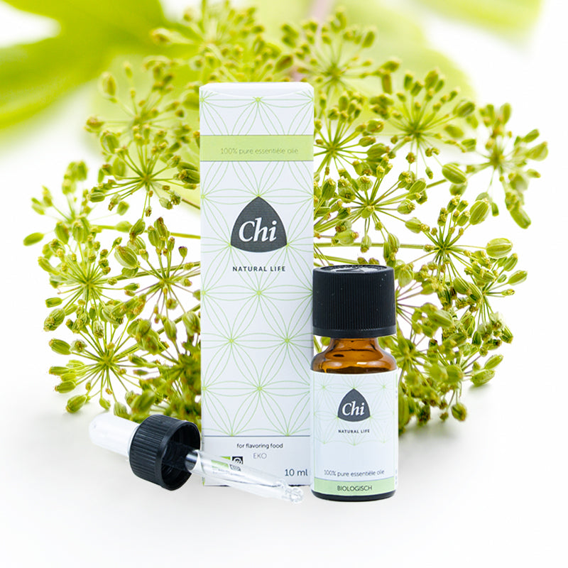 CHI Engelwortel CO2 eko bio 2.5ml