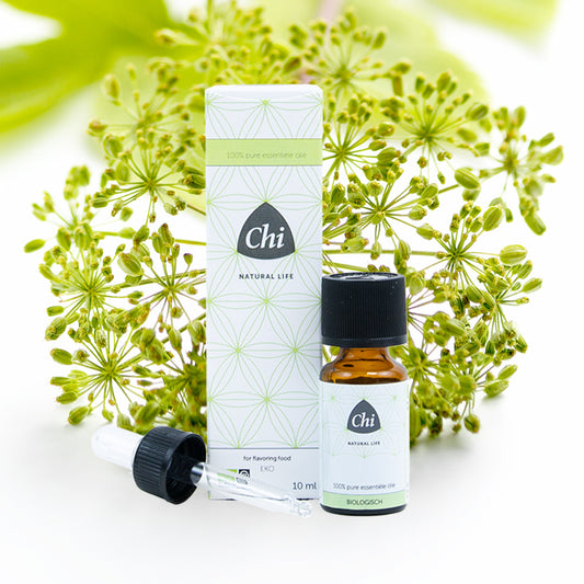 CHI Engelwortel CO2 eko bio 2.5ml