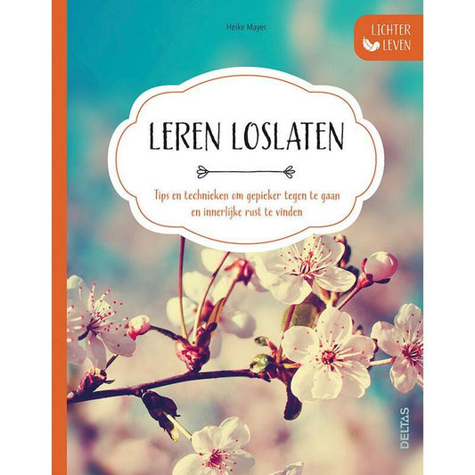 Deltas Lichter leven leren loslaten boek