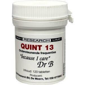 DNH Quint 13 120tb