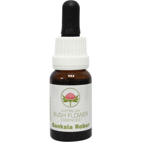 Australian Bush Banksia robur 15ml