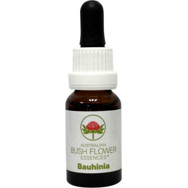 Australian Bush Bauhinia 15ml