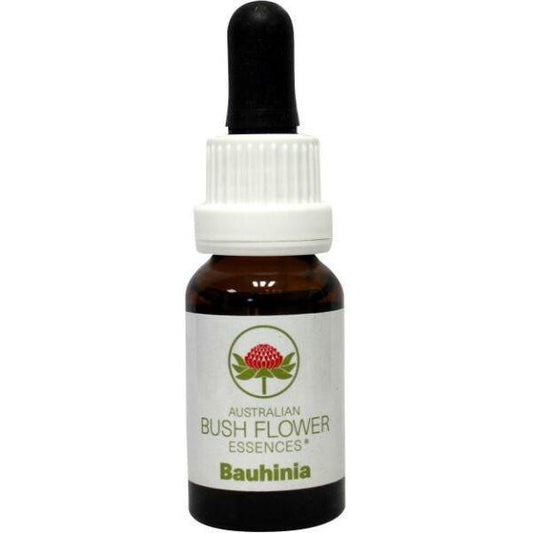 Australian Bush Bauhinia 15ml
