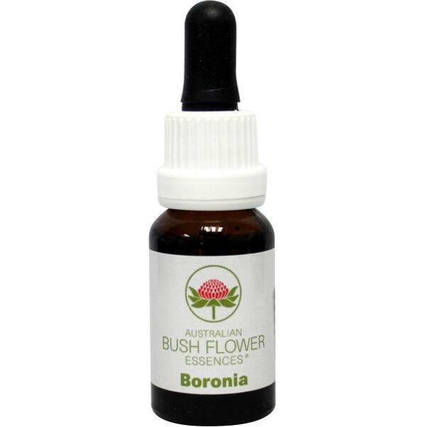 Australian Bush Boronia 15ml