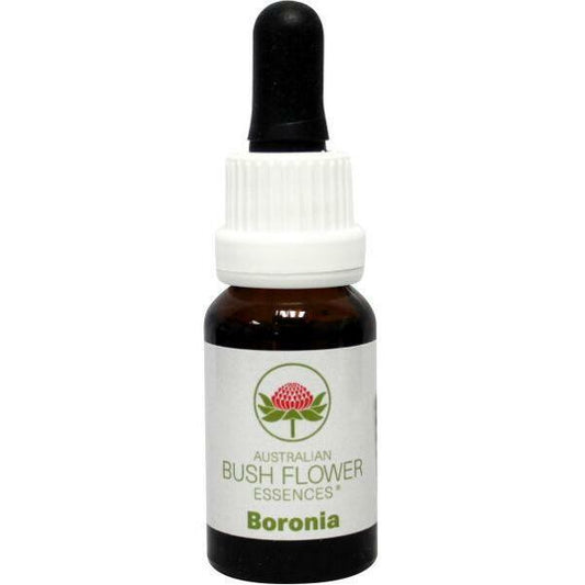 Australian Bush Boronia 15ml