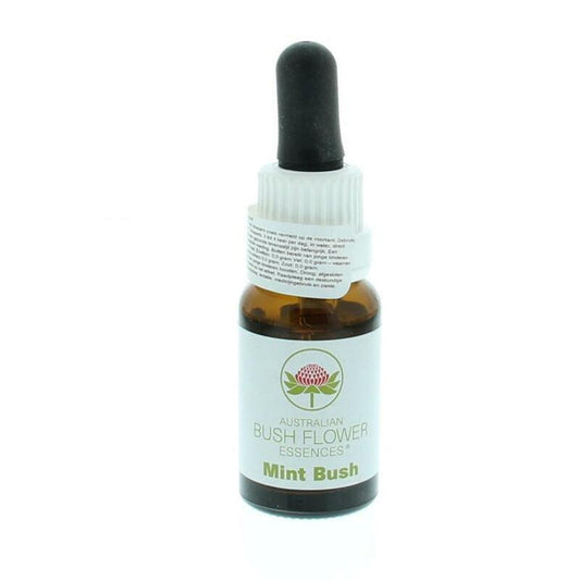 Australian Bush Mint bush aust bush 15ml