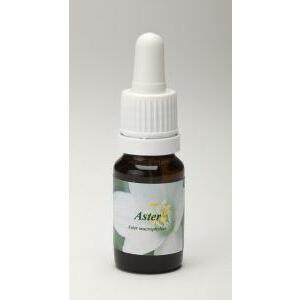 Star Remedies Aster 10ml