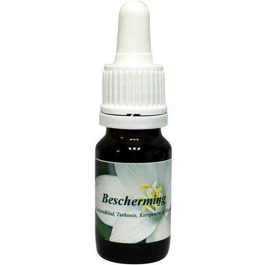 Star Remedies Bescherming 10ml