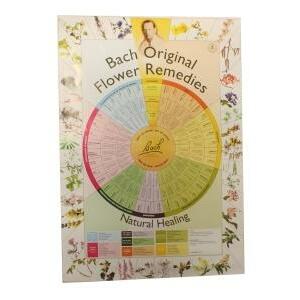 Bach Remedies poster A2 1st