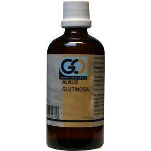 GO Alnus glutinosa 100ml