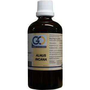 GO Alnus incana bio 100ml