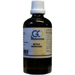 GO Betula verrucosa bio 100ml