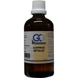 GO Carpinus betulus 100ml